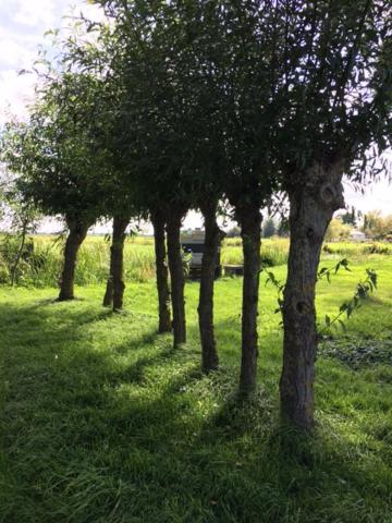 De Beijersche Stee , Landhuysje Villa Stolwijk Buitenkant foto