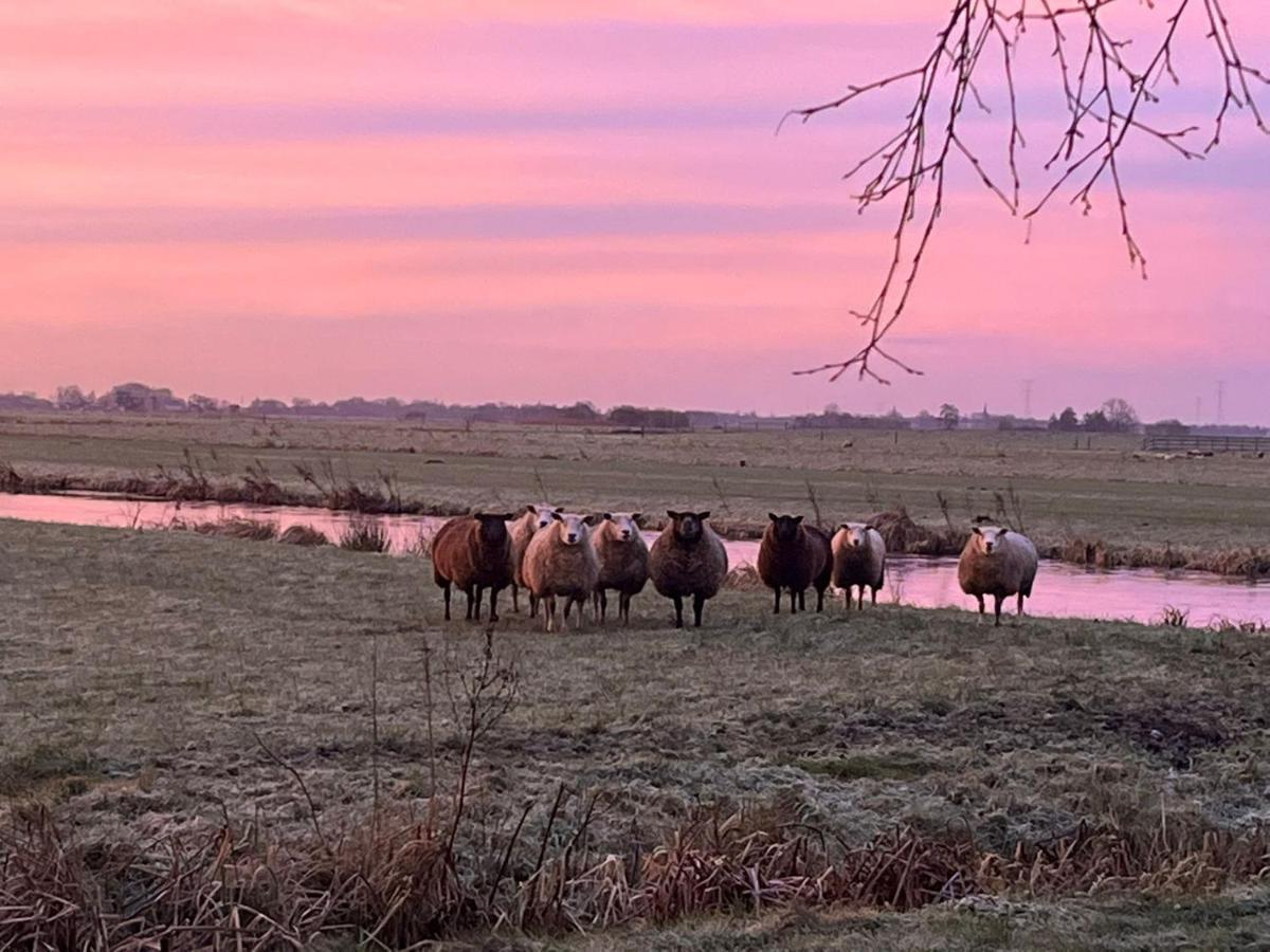 De Beijersche Stee , Landhuysje Villa Stolwijk Buitenkant foto